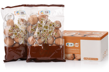 �ͺӽ�ɴ����