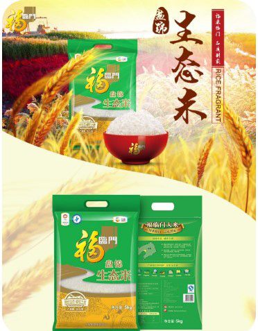 �̽���̬����